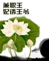 沈曼歌叶南玹免全文无弹窗