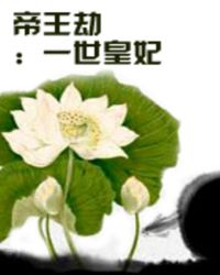 辛芷蕾个人资料简介