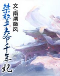 苏白律师主角